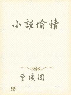 小说偷情