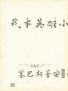 我本英雄小说