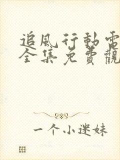 追风行动电视剧全集免费观看