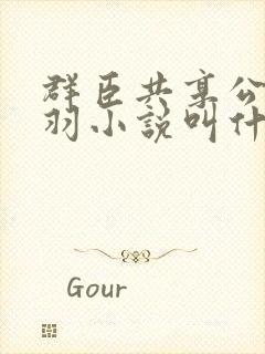 群臣共享公主银羽小说叫什么