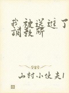 我被送进了私奴调教所