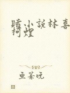 赌小说林喜朝和柯煜