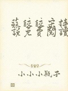 苏皎皎宋持的小说免费阅读