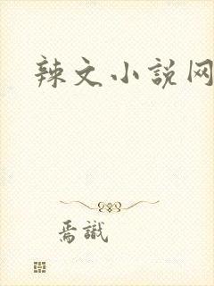 辣文小说网