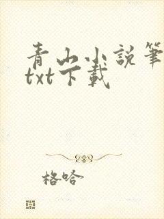 青山小说笔趣阁txt下载
