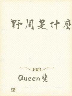 野周是什么意思