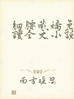 细腰藏娇免费阅读全文小说苏珞浅