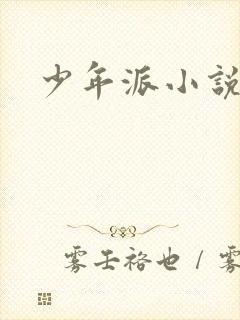 少年派小说