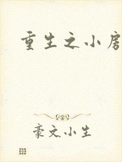 重生之小房东