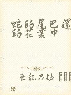 蛇的尾巴还在我的花丛中