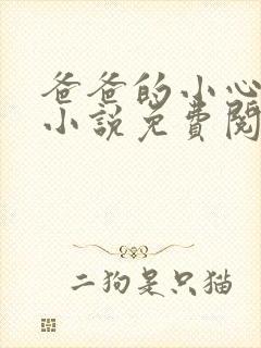 爸爸的小心肝儿小说免费阅读