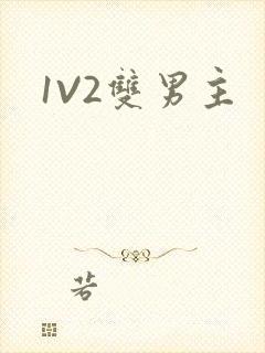 1V2双男主
