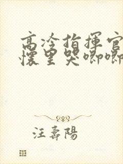 高冷指挥官在我怀里哭唧唧第二季