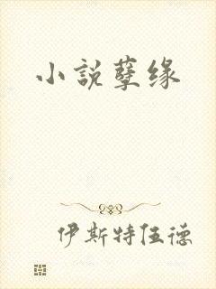 小说孽缘