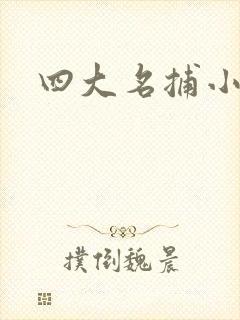 四大名捕小说