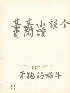 某某小说全文免费阅读