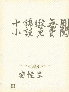 十锦缎无删原著小说免费阅读