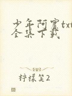 少年阿宾txt全集下载