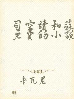 司空靖和苏月汐免费的小说笔趣阁