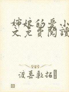 婶娘的爱小说全文免费阅读