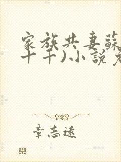 家族共妻苏苏(十千)小说免费