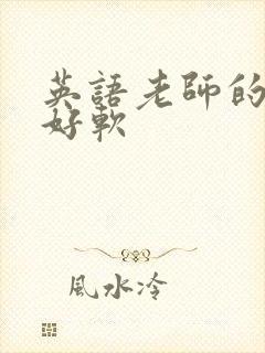 英语老师的兔子好软
