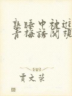 熟睡中被进了H青梅诱哄视频