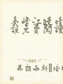 秦峰江晓晴的小说免费阅读