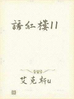 诱红楼11