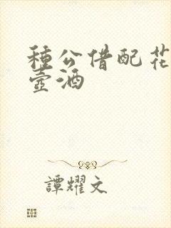 种公借配花间一壶酒