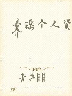 童瑶个人资料简介