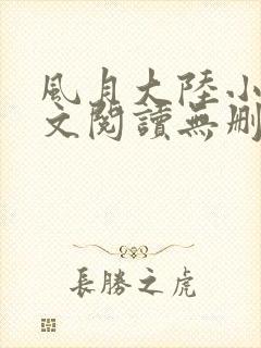 风月大陆小说全文阅读无删减