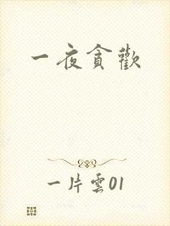 一夜贪欢