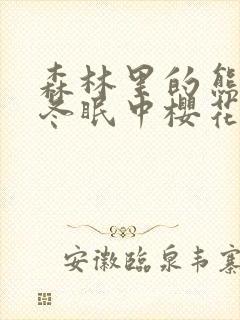 森林里的熊先生冬眠中樱花动漫