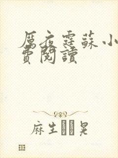 厉夜霆苏小汐免费阅读