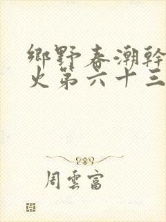乡野春潮干柴烈火第六十三章