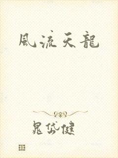 风流天龙