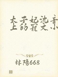 太子妃沈音和皇上的宠文小说