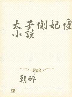 太子侧妃傻乎乎小说