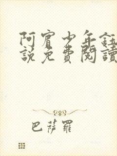 阿宾少年钰慧小说免费阅读笔趣阁