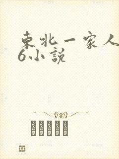 东北一家人1一6小说