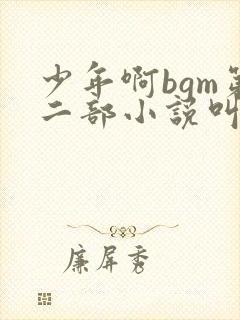 少年啊bgm第二部小说叫什么