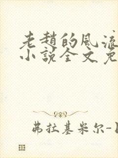 老赵的风流人生小说全文免费阅读