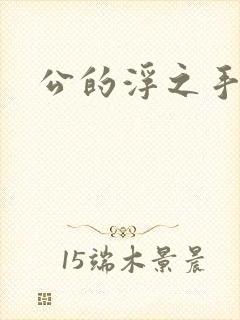 公的浮之手中字