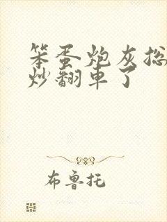 笨蛋炮灰总被爆炒翻车了