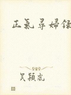 正气寻妇录