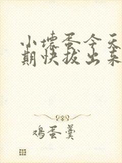 小坏蛋今天危险期快拔出来