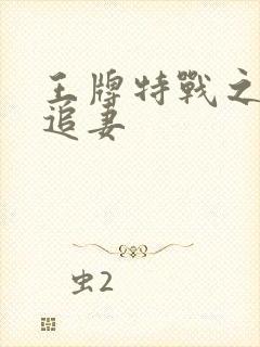 王牌特战之军少追妻