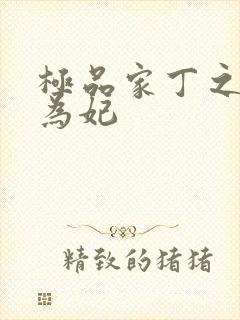 极品家丁之册母为妃