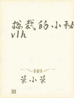 总裁的小秘书1v1h